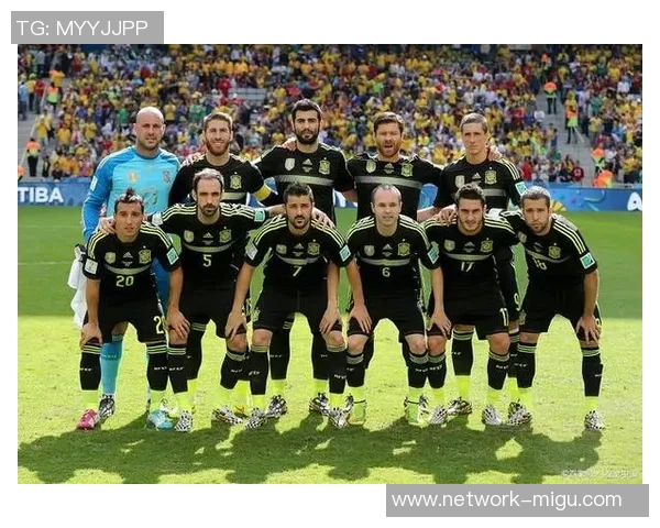 2014年世界杯荷兰队与巴西队激战回顾：一场震撼人心的足球盛宴