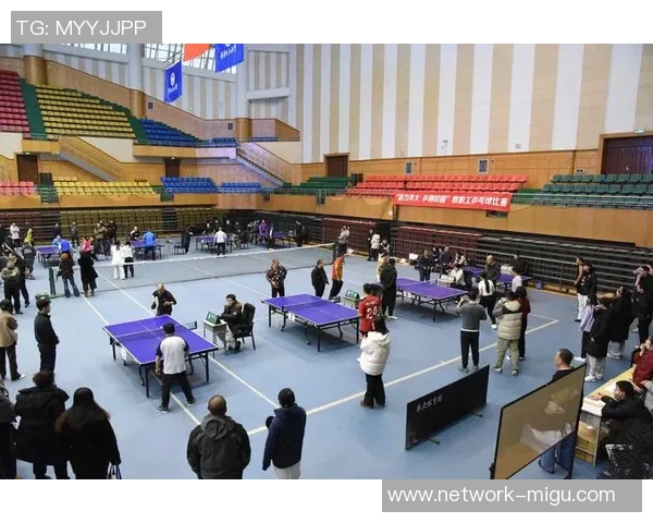 乒乓球专题：深入探讨杭州乒乓球队的团队协作与默契配合之道